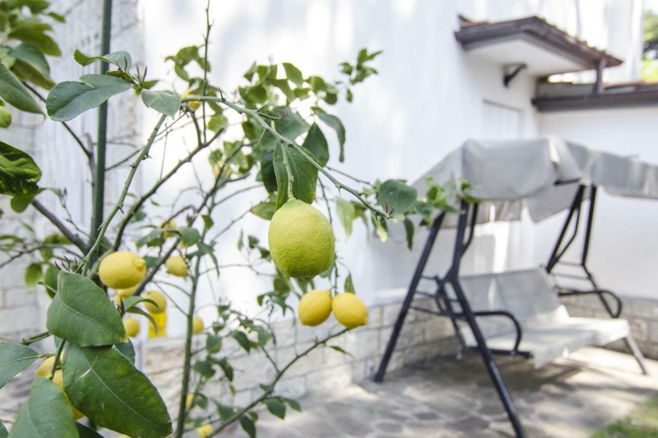 Federica Apartment Milano Marittima
